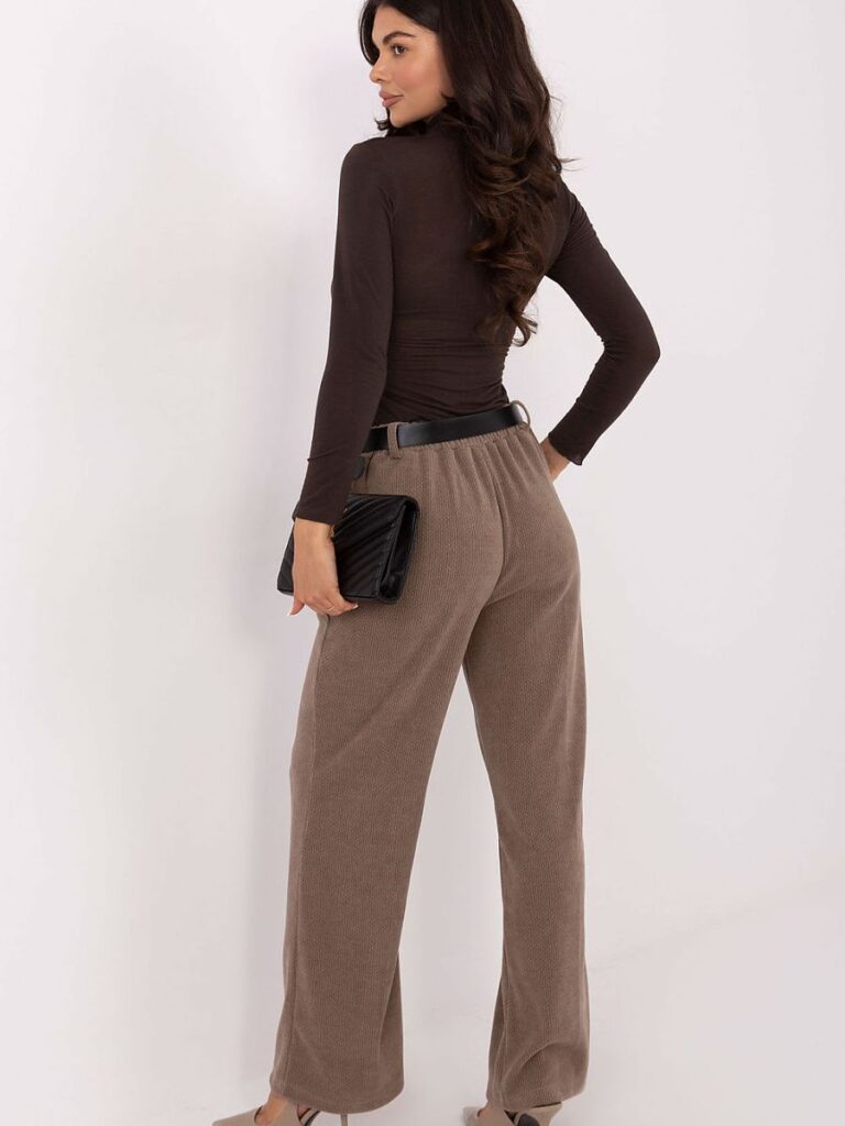 Pantalon Camille taille haute velours côtelé brun, vue de face — vue 2
